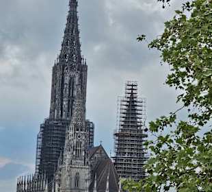 Ausblick zum Münster