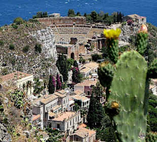 Teatro Greco durch Kakteen