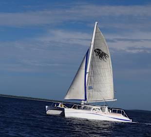 Katamara auf der Rückfahrt von Saona