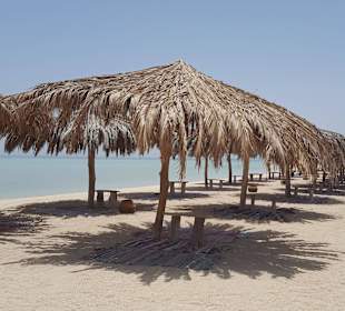 Inselbesuch beim Bootsausflug "Delphintour"