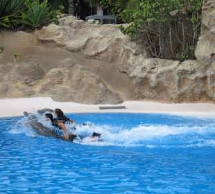 Loro Parque