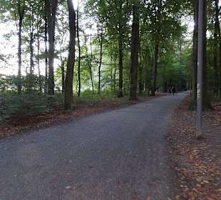 Der Weg zum Planetarium