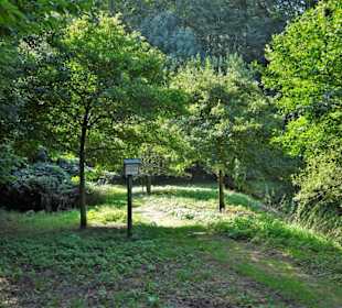 Impressionen aus dem Arboretum Wildeshausen