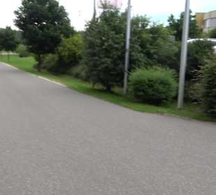 ALB-GOLD Naturgarten