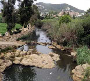 Rückwertige Betrachtung