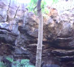 Fundacion Cesar Manrique