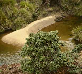 Horton Plains