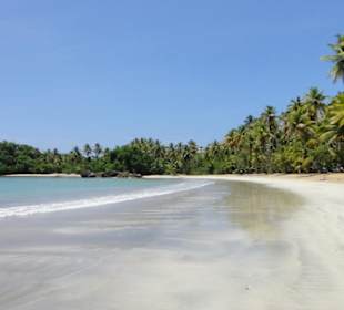 Samana-Las Terrenas Tour