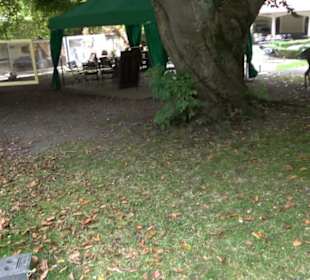 Chapuis Park