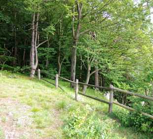 Gesichert am Abgrund