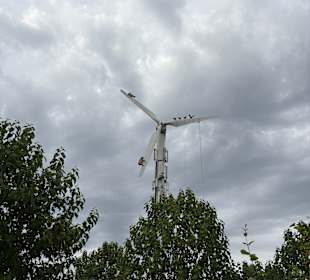 Irrland Bauernhof-Erlebnisoase