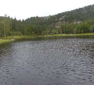 Spaziergang zum See