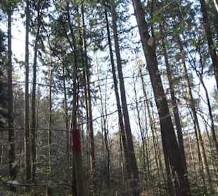 Wanderung Florianrunde