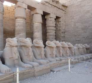 Sphingen warten auf einen evtl. Weg zum LuxorTempel