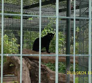 Besuch im Berliner Zoo