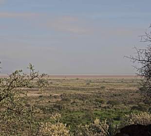 Blick in den Amboseli