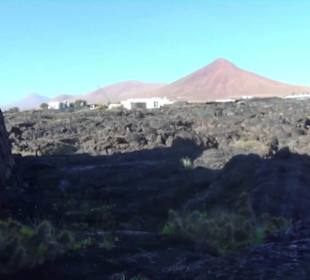 Fundacion Cesar Manrique