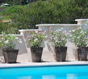 Blick vom Restaurant zum Pool