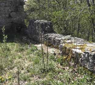 Ruine Maisenburg