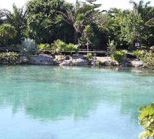 Lagune