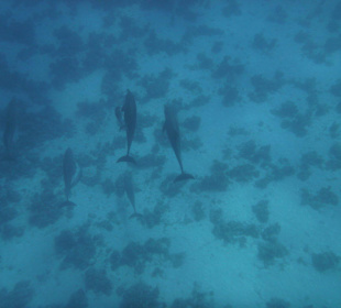 Ausflug mit SimSim Reisen