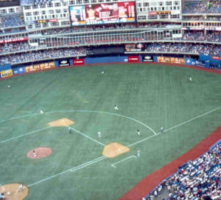 Baseball Major League