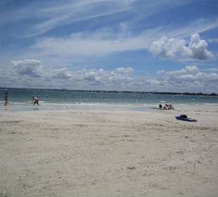 Ausflug Puerto de Alcudia