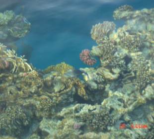 Blick in die Tiefe..