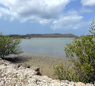 Spezielle Landschaft