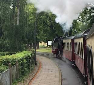 Bäderbahn Molli Bad Doberan - Kühlungsborn