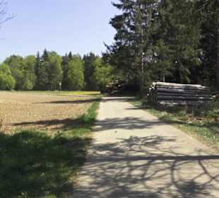 Waldlehrpfad an der Lauter