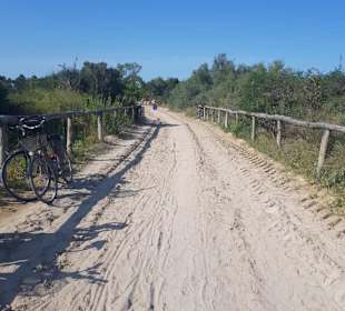 Von Strand geht diese Straße zum Naturschutz