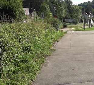 Gestütsgasthof Marbach