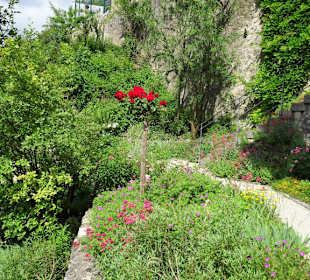Unterwegs in den Terrassengärten Hollfeld