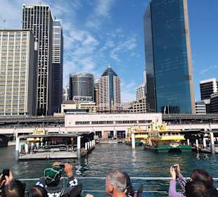 2 x fallen und man ist da, Sydney Harbour