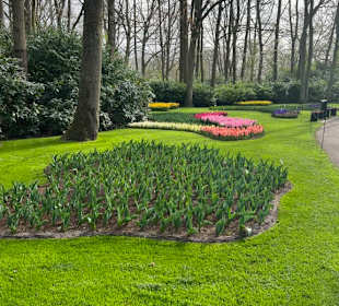 Keukenhof 