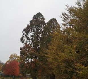 Parkanlage Planten un Blomen