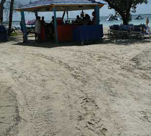 Coco Cay Beach