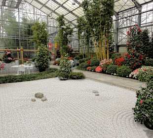 Der japanische Zen-Garten