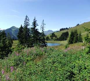Reiterkogel
