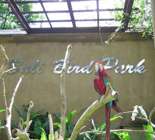 Bali Bird Park