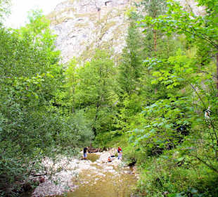 Homole Schlucht/ Jaworki-Ausflug aus Szczawnica
