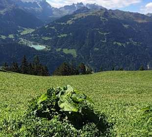 Besuch auf dem Rellseck: Aussicht