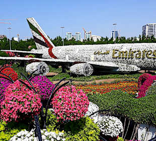 Miracle Garden