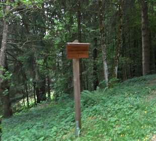 Waldlehrpfad in Tieringen