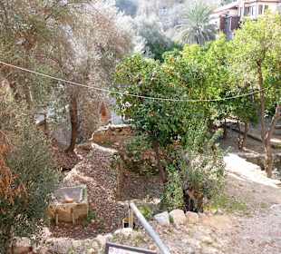 Am Berg beim roten Turm