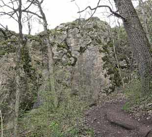 Wanderung rund um das Rusenschloss Gerhausen