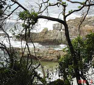 Tsitsikamma National Park