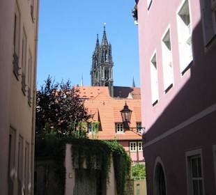 Stadtrundgang/Meißen