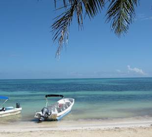 Punta Allen